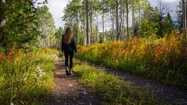 Caminar por la naturaleza puede ayudar a tratar la depresión