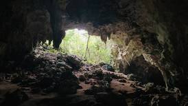 Aventura educativa y ecológica en las cuevas de la reserva natural Las Cabachuelas en Morovis