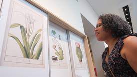 Para la Naturaleza invita a la exhibición “Flora borinqueniana: tres siglos de ilustraciones botánicas”   