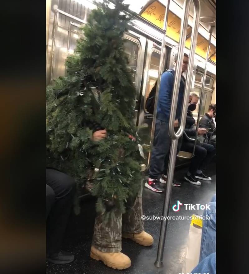 Se disfrazó de árbol de Navidad