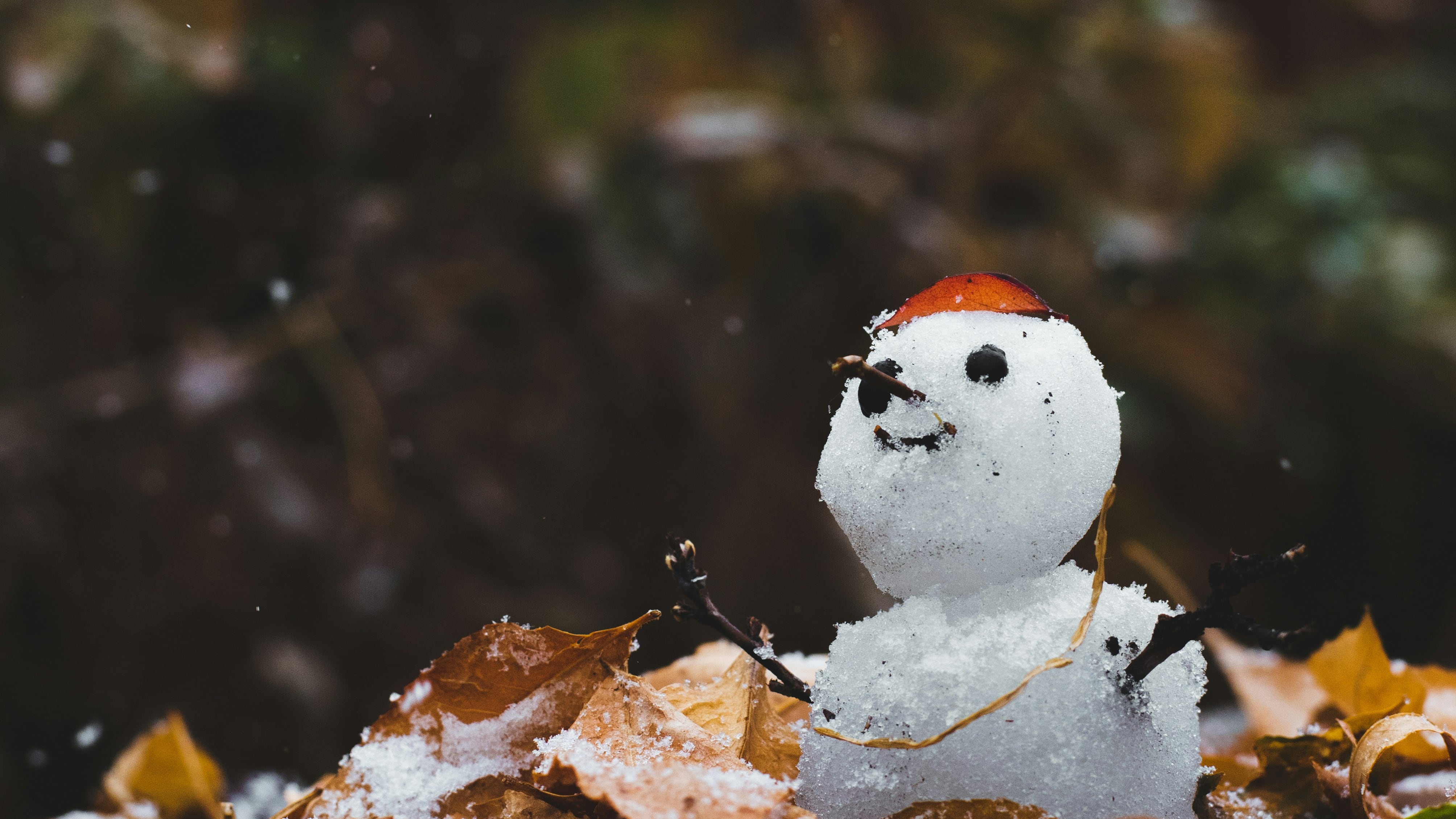 Según los expertos, la “Blanca Navidad” podría convertirse en un recuerdo lejano a medida que el calentamiento de las temperaturas provoque menos nevadas en distintas zonas.