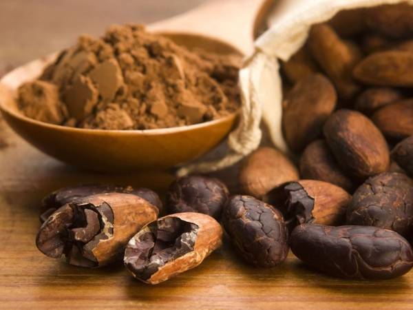 Estudio revela que el chocolate podría ayudar a perder peso y prevenir el Alzheimer