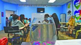 Maestra paga por pieza de aire acondicionado para que sus estudiantes no pasen calor